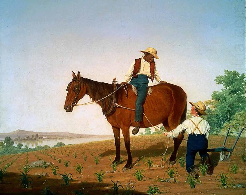 James-Goodwyn Clonney In the Cornfield china oil painting image
